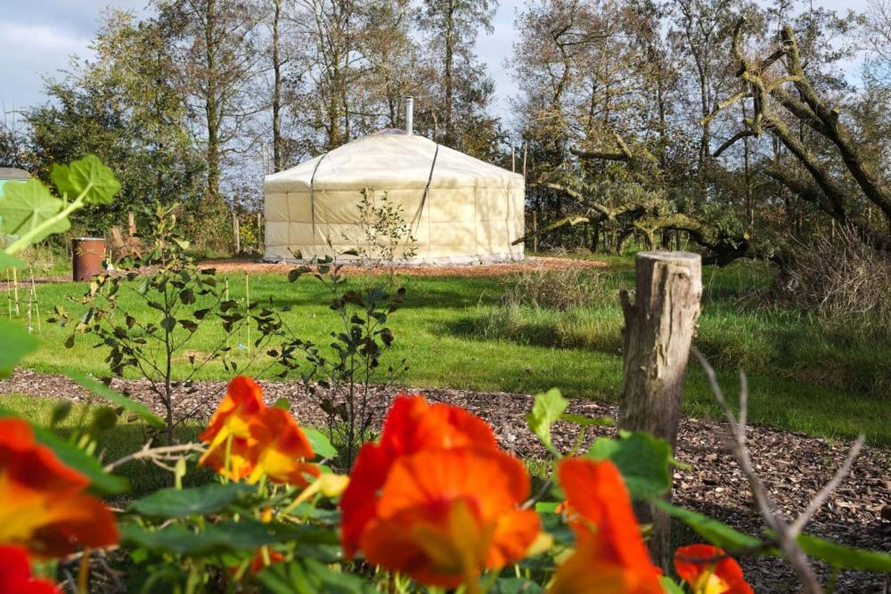 Bed and Breakfast Yurt Klyndobbe Veenwoudsterwal Exteriér fotografie